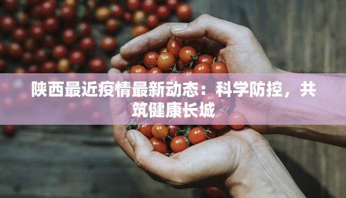 陕西最近疫情最新动态：科学防控，共筑健康长城