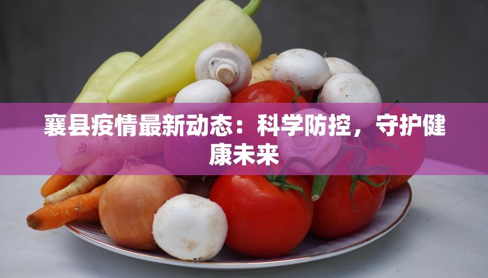 襄县疫情最新动态:科学防控,守护健康未来 襄县疫情最新动态:科学防控,守护健康未来