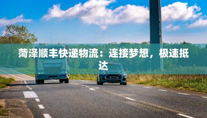 菏泽顺丰快递物流：连接梦想，极速抵达