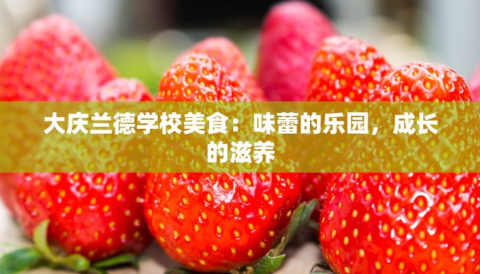 大庆兰德学校美食：味蕾的乐园，成长的滋养
