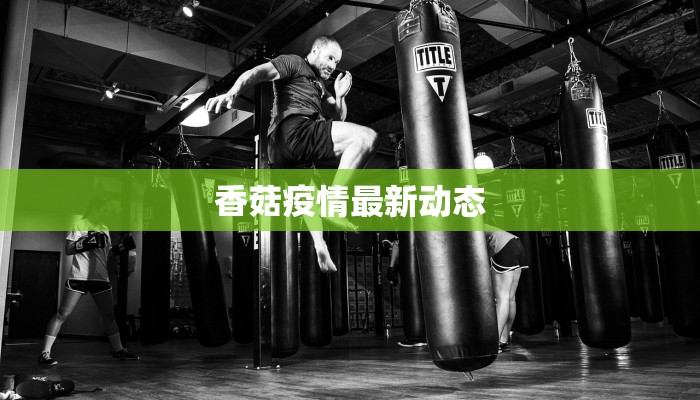 最新冯家村疫情：守护家园，科学防控，共克时艰