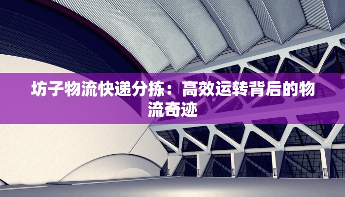 坊子物流快递分拣：高效运转背后的物流奇迹