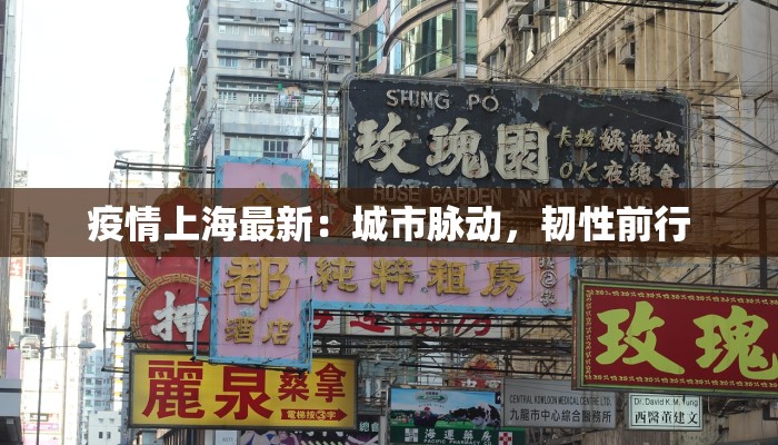 江华义工疫情最新:温暖守护,共克时艰 江华义工疫情最新:温暖守护,共克时艰