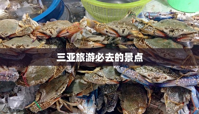 三亚旅游必去的景点