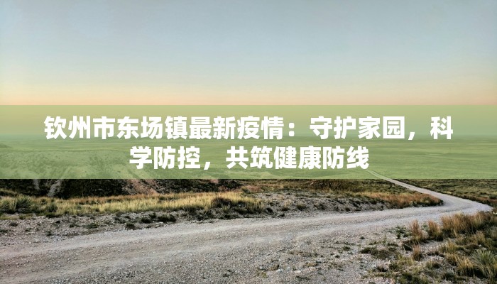 钦州市东场镇最新疫情：守护家园，科学防控，共筑健康防线