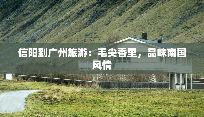 信阳到广州旅游:毛尖香里,品味南国风情 信阳到广州旅游:毛尖香里,品味南国风情
