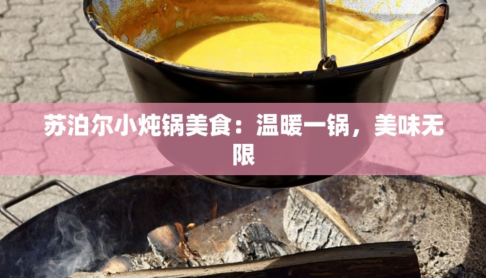 苏泊尔小炖锅美食：温暖一锅，美味无限